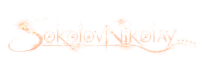 Sokolov Nikolay — логотип