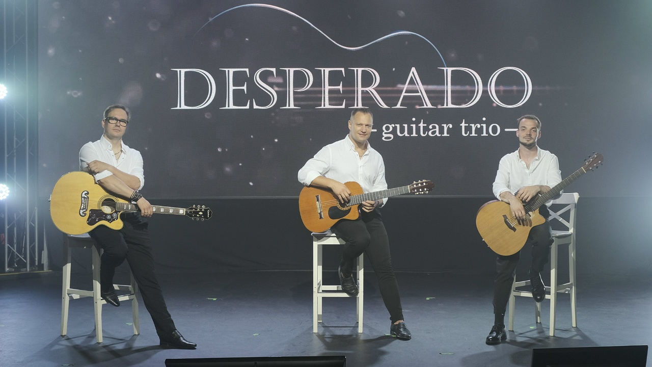Гитарное трио «Desperado» — видео